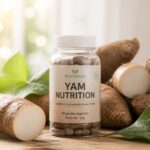 découvrez les bienfaits essentiels du complément alimentaire yam nutrition, ses propriétés naturelles et comment il peut soutenir votre bien-être au quotidien.