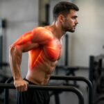 découvrez quels muscles sont sollicités pendant l'exercice des dips et apprenez comment maximiser vos entraînements pour un développement musculaire optimal.